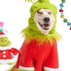 Grinch Dog Costume
